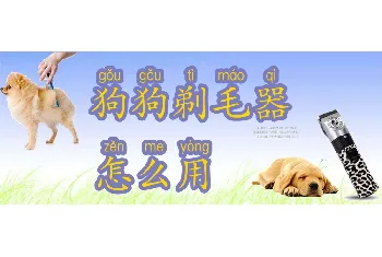 狗狗剃毛器怎么用