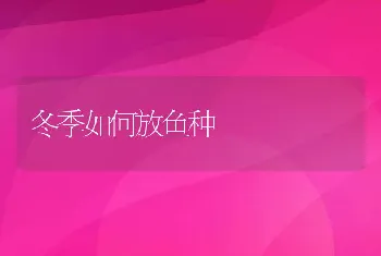 冬季如何放鱼种