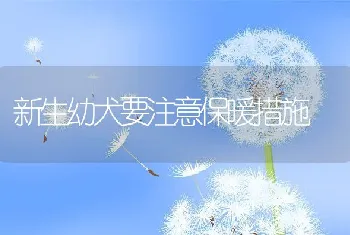 新生幼犬要注意保暖措施