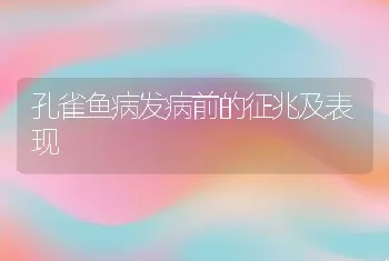 孔雀鱼病发病前的征兆及表现