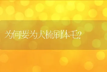 为何要为犬梳刷体毛?