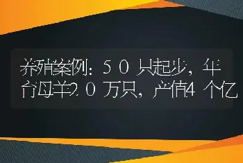 养殖案例：50只起步，年育母羊20万只，产值4个亿