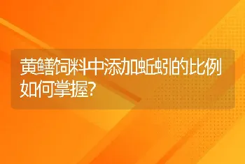 黄鳝饲料中添加蚯蚓的比例如何掌握？