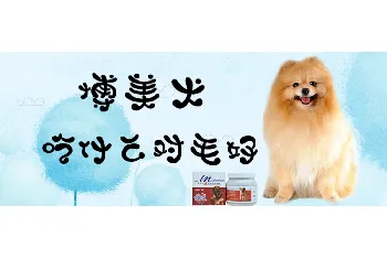 博美犬吃什么对毛好