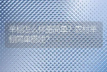 羊棚怎么样盖简单？农村羊棚简单搭建？