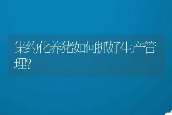 集约化养猪如何抓好生产管理？