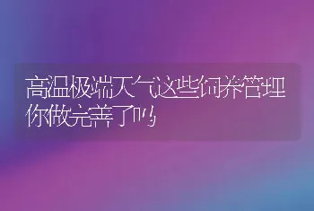 高温极端天气这些饲养管理你做完善了吗