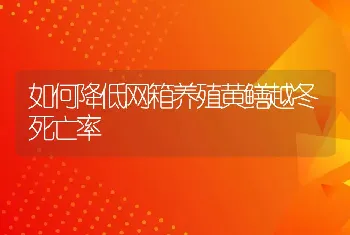 如何降低网箱养殖黄鳝越冬死亡率