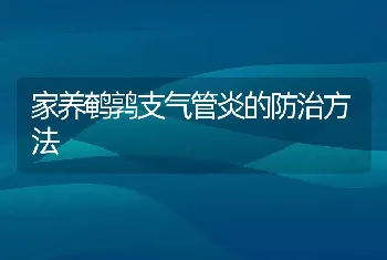 家养鹌鹑支气管炎的防治方法