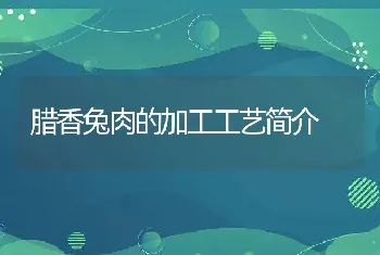 腊香兔肉的加工工艺简介