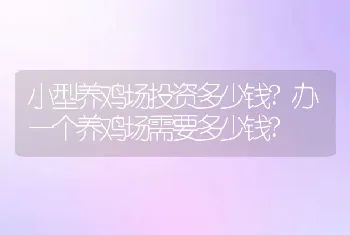 小型养鸡场投资多少钱?办一个养鸡场需要多少钱?