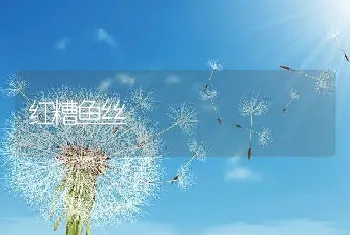 红糟鱼丝