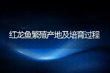 红龙鱼繁殖产地及培育过程