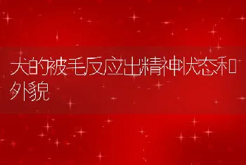 犬的被毛反应出精神状态和外貌