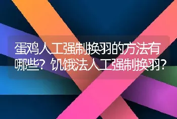 蛋鸡人工强制换羽的方法有哪些？饥饿法人工强制换羽？