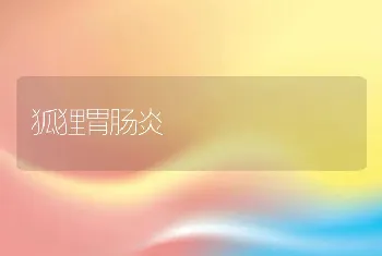 狐狸胃肠炎