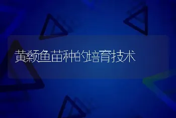 黄颡鱼苗种的培育技术