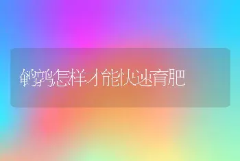 鹌鹑怎样才能快速育肥