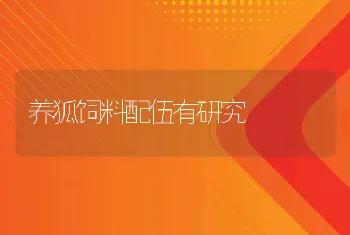 养狐饲料配伍有研究