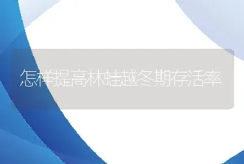 怎样提高林蛙越冬期存活率