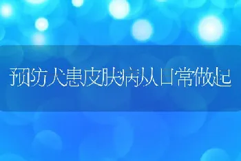 预防犬患皮肤病从日常做起