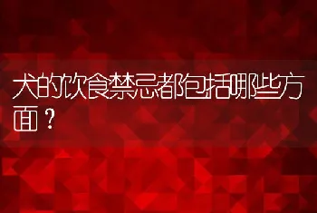 犬的饮食禁忌都包括哪些方面？