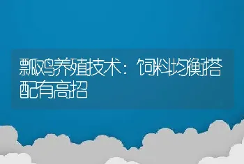 瓢鸡养殖技术：饲料均衡搭配有高招