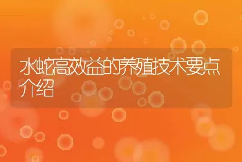 水蛇高效益的养殖技术要点介绍