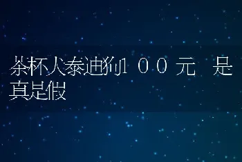 茶杯犬泰迪狗100元 是真是假