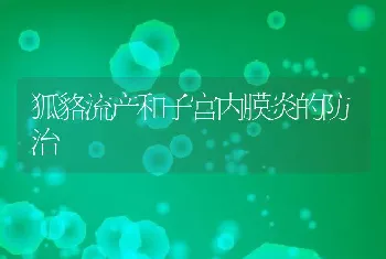 狐貉流产和子宫内膜炎的防治