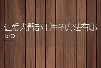 让爱犬臀部干净的方法有哪些?