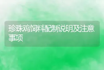 珍珠鸡饲料配制说明及注意事项