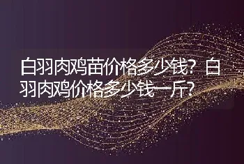 白羽肉鸡苗价格多少钱？白羽肉鸡价格多少钱一斤?