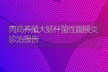 肉鸡养殖大肠杆菌性腹膜炎诊治报告