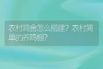 农村鸡舍怎么搭建？农村简单的养鸡棚？