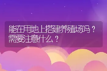 能在用地上搭建养殖场吗？需要注意什么？