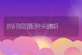 抓好狐狸配种关键期