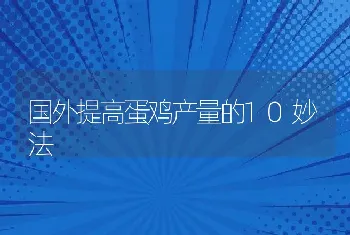 国外提高蛋鸡产量的10妙法