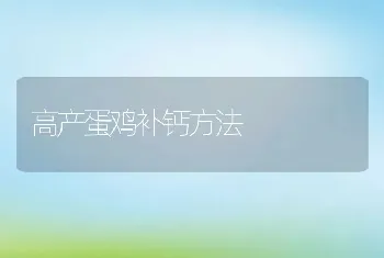 高产蛋鸡补钙方法