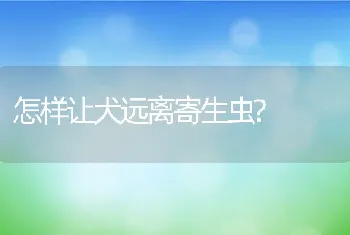 怎样让犬远离寄生虫?