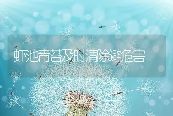 虾池青苔及时清除避危害