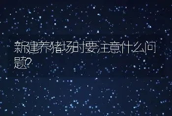 新建养猪场时要注意什么问题？