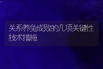 关系养兔成败的几项关键性技术措施