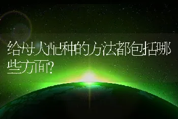 给母犬配种的方法都包括哪些方面？