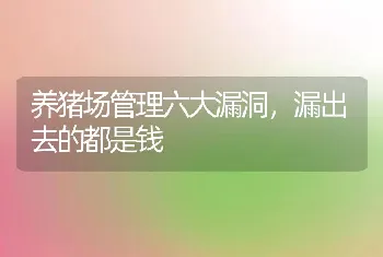 养猪场管理六大漏洞，漏出去的都是钱