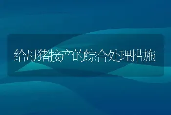 海参网箱生态育苗质量优于室内苗