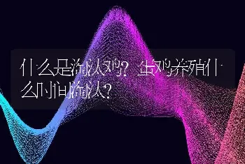 什么是淘汰鸡?蛋鸡养殖什么时间淘汰？