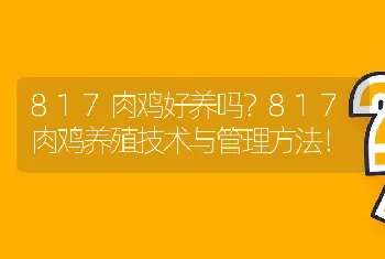 817肉鸡好养吗？817肉鸡养殖技术与管理方法！