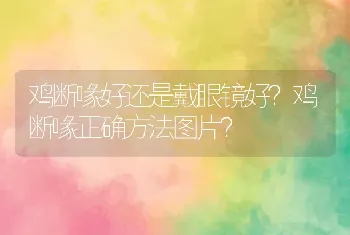 鸡断喙好还是戴眼镜好？鸡断喙正确方法图片？