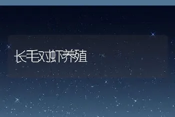 长毛对虾养殖